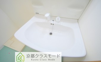 シャンプードレッサー