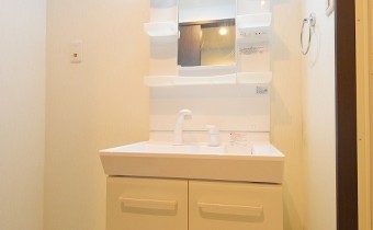 シャンプードレッサー