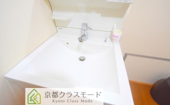 シャンプードレッサー