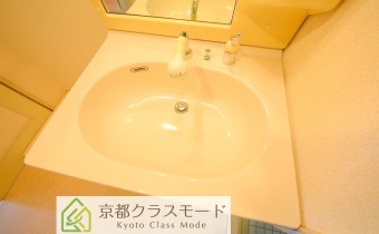 シャンプードレッサー