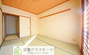 和6
