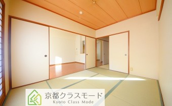 和6