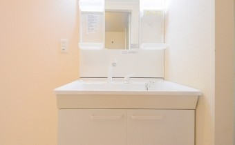 シャンプードレッサー