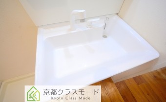 シャンプードレッサー