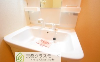 シャンプードレッサー