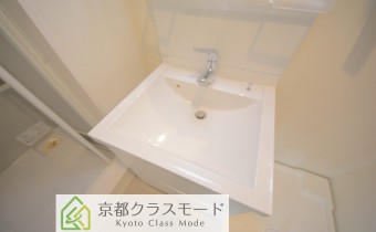 シャンプードレッサー