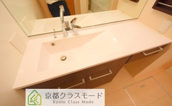 シャンプードレッサー