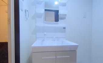 シャンプードレッサー
