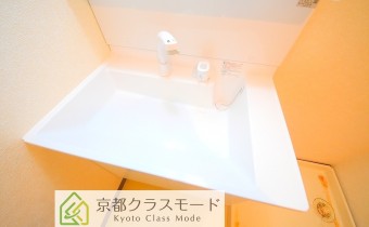 シャンプードレッサー
