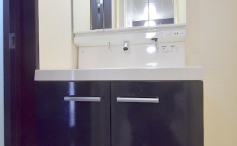シャンプードレッサー