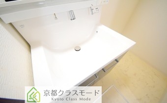 シャンプードレッサー