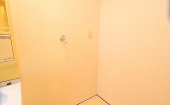 室内洗濯機置場