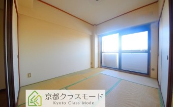 和6