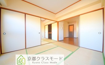 和6