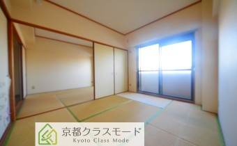 和6
