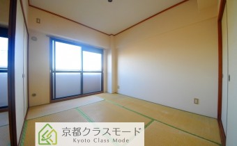 和6