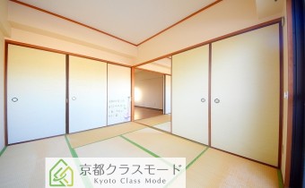 和6