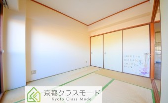 和6