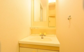 室内 洗濯機置場
