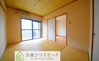 和6