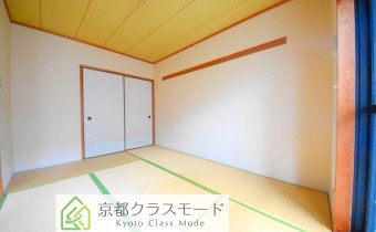 和6