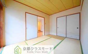 和6
