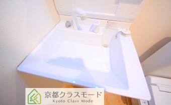 シャンプードレッサー