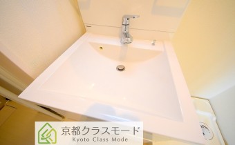 シャンプードレッサー　