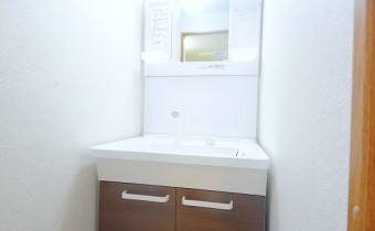 シャンプードレッサー