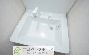 シャンプードレッサー