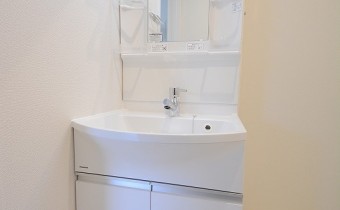 シャンプードレッサー