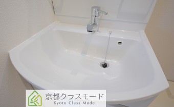 シャンプードレッサー