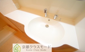 シャンプードレッサー