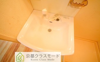 シャンプードレッサー