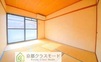 和6