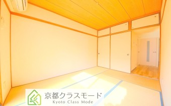 和6