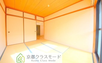 和6