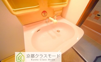 シャンプードレッサー