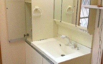 シャンプードレッサー