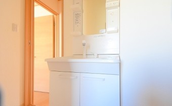 シャンプードレッサー