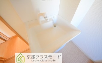 シャンプードレッサー