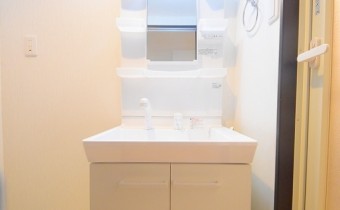 シャンプードレッサー