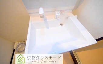 シャンプードレッサー