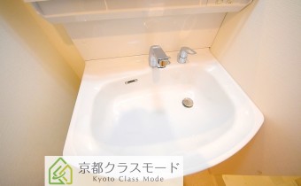 シャンプードレッサー