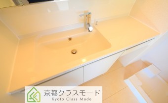 シャンプードレッサー