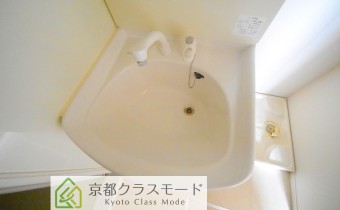 シャンプードレッサー