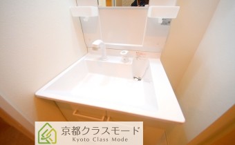 シャンプードレッサー