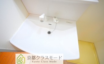 シャンプードレッサー