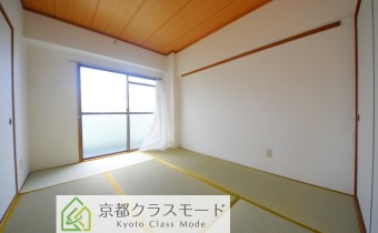 和6