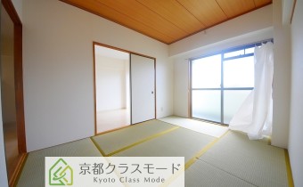 和6
